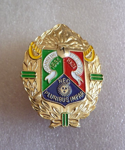 Insigne militaire 1er regiment - militaire,