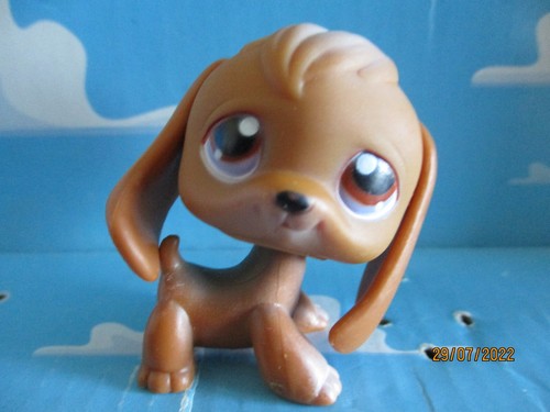 Petshop chien beagle - petshop,