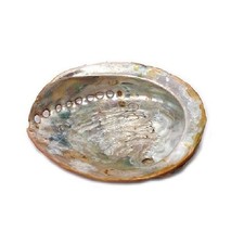 Coquille d'ormeau pour encens