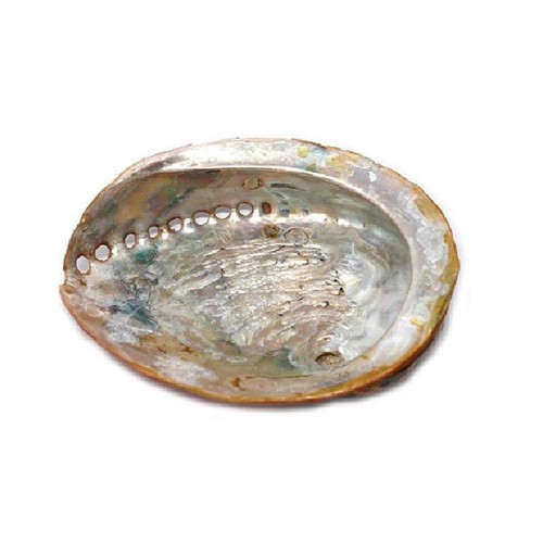 Coquille ormeau pour - pour, encens