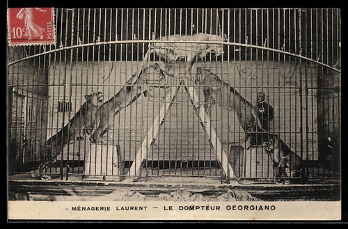 Carte postale ménagerie - carte,