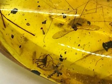 PENDENTIF AMBRE BALTIQUE 3