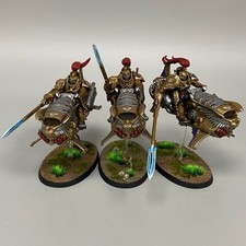 Vertus Praetors Équipe Peinte