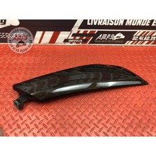 Cache sur flanc de carénage