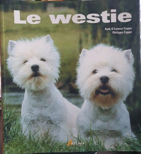 Westie philippe coppe - westie,