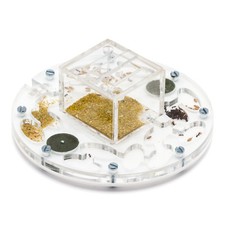 Fourmiliere Ant Farm Circle