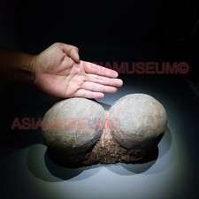 PAIRE Dinosaure Oeuf Hadrosaur