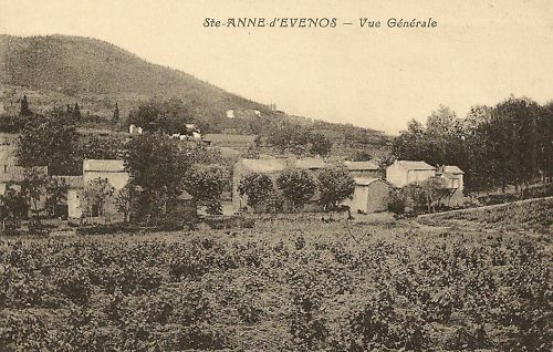 Saint anne evenos var - cp,