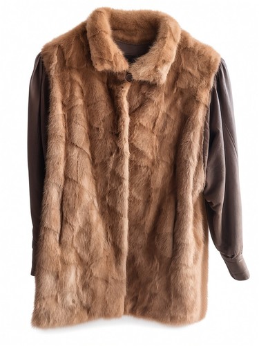 Tigre royal manteau - tigre,