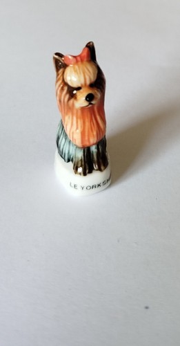 Fève chien le yorkshire - fève,
