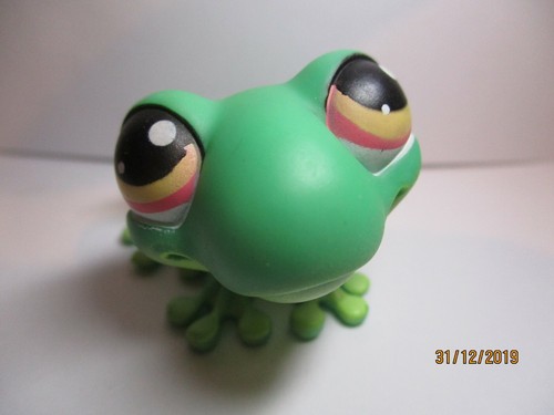 Petshop grenouille 236 - grenouille, n°236