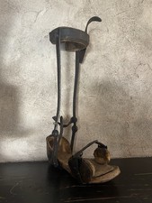 cabinet curiosités Maison