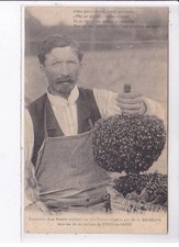 NERIS-les-BAINS: extraction d'un essaim artificiel sur une ruche vulgaire dans