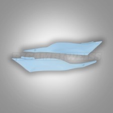 LR195 Kawasaki ZX6R Reservoir