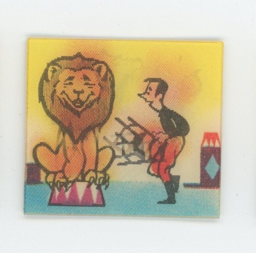 Lion rugissant effraie - lion,