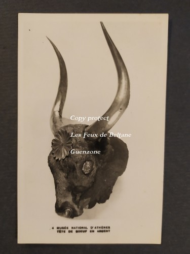 Tete boeuf argent musee - boeuf, en