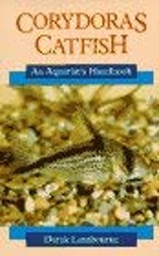 Corydoras catfish un - catfish, manuel
