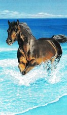 DRAP DE BAIN, SERVIETTE DE PLAGE - CHEVAL - 95X175 cm 100% COTON C.11 23