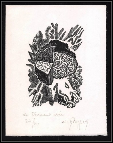 2955 diamant noir 1969 - le,