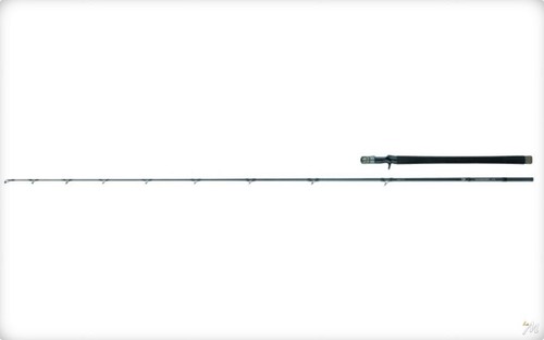 Daiwa canne casting tournament - canne,