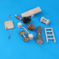  10 Pcs Jouet Hamster Jouets Pour Chinchilla À Mâcher Du Mastiquer Le