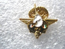 ANCIEN PINS DES FORCES