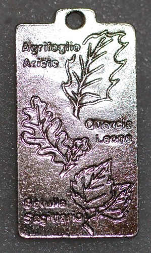 Medal fuoco agrifoglio ariette - medal,