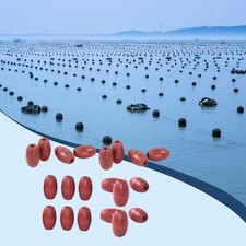 Lot de 20 flotteurs de corde