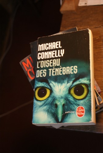 Oiseau des ténèbres - l'oiseau,