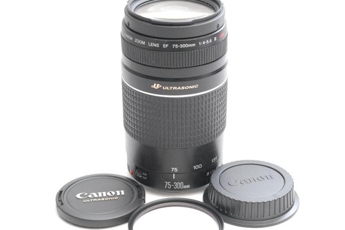 Objectif zoom canon - zoom, ef