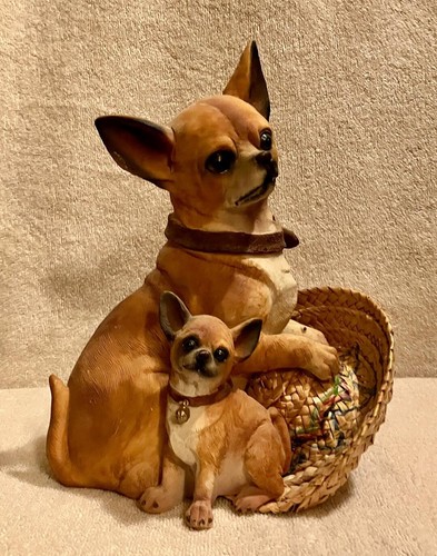 Chihuahua and puppy straw - puppy, w/straw