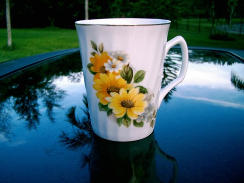 Staffordshire england - ,