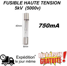 Fusible en Verre 5kV 750mA