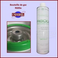 R600A Bouteille de gaz 420Gr