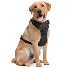 Harnais pour Chiens de Taille