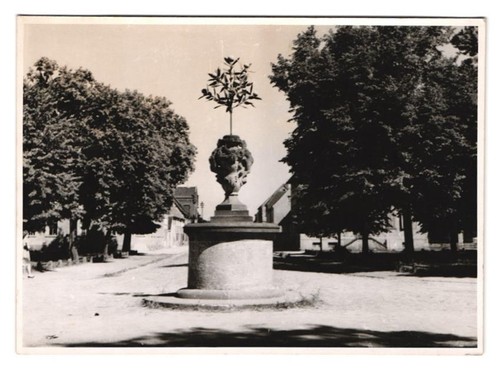 Photographies kurt - photographies, dr