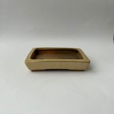 Bonsai pot by Kenji