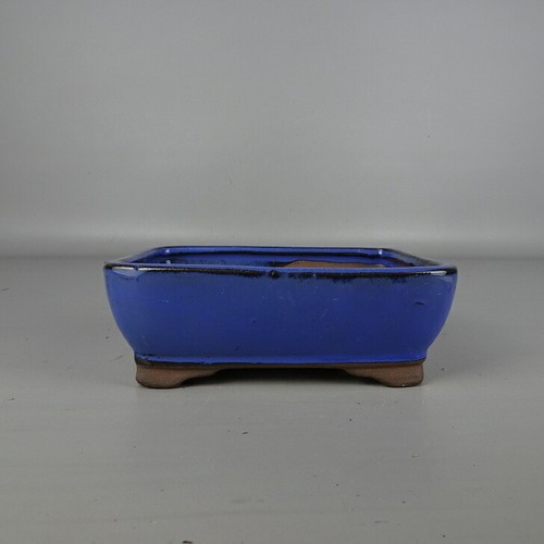 Pot bonsaï japonais - pot,