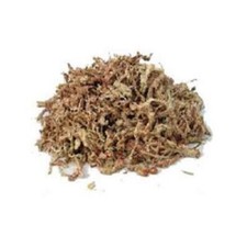 SPHAIGNE de qualité supérieure - 6 kg -