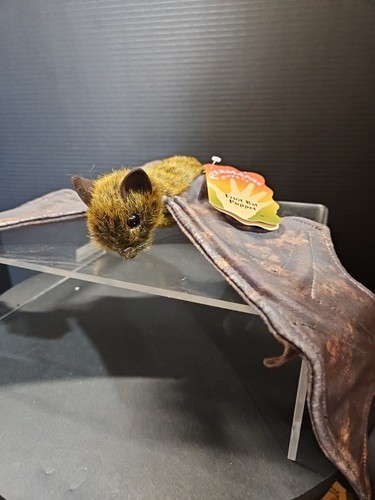 Fruit bat hand - fruit, puppet