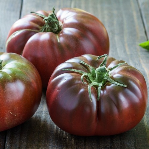 Graines tomate noire - tomate,