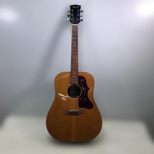 Livraison gratuite guitare