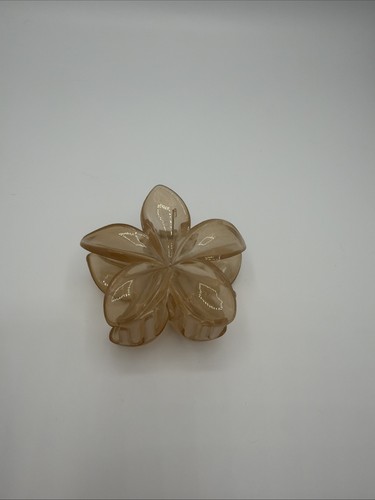 Pince cheveux crabe - cheveux,