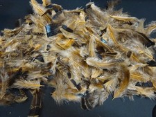 Lot de Plumes à Chapeau