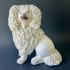 Chien Caniche Staffordshire