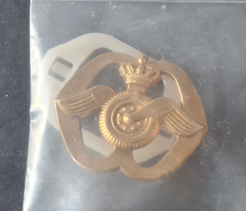 Badge insigne troupes - badge,