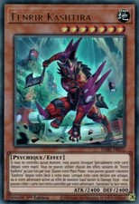 Carte Yu-Gi-Oh Fenrir Kashtira