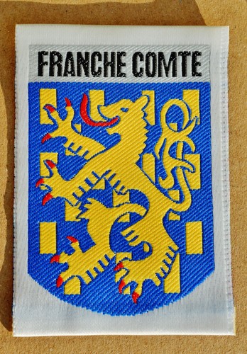 Insigne scouts de france - ,