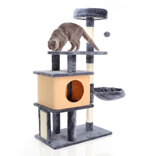 Fudajo arbre chat gris - chat,