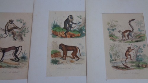 Lot gravures estampes - 6,